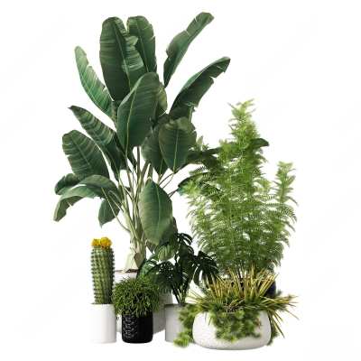 现代植物盆栽3D模型下载